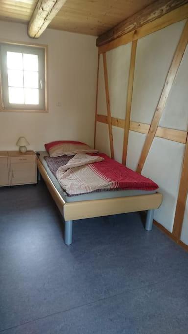 Mothsgut - Moderne Ferienwohnung Auf Dem Bauernhof Im Erzgebirge Oelsnitz  Extérieur photo
