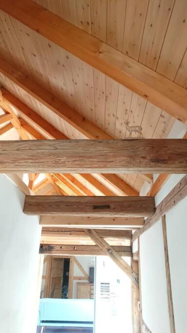 Mothsgut - Moderne Ferienwohnung Auf Dem Bauernhof Im Erzgebirge Oelsnitz  Extérieur photo