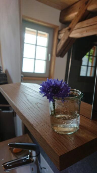 Mothsgut - Moderne Ferienwohnung Auf Dem Bauernhof Im Erzgebirge Oelsnitz  Extérieur photo